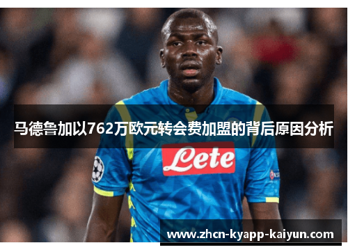 马德鲁加以762万欧元转会费加盟的背后原因分析