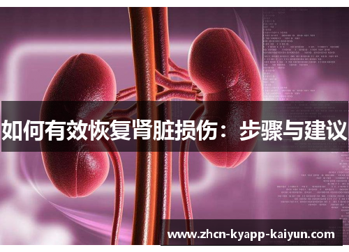 如何有效恢复肾脏损伤：步骤与建议